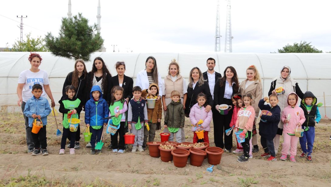 İLÇEMİZ KARAALİ MESLEKİ VE TEKNİK ANADOLU LİSESİNDE PATATES HASADI YAPILDI